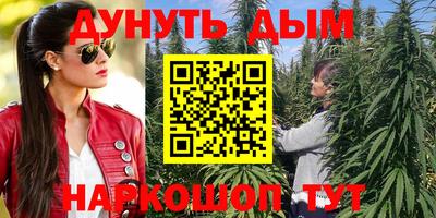 индика Беслан