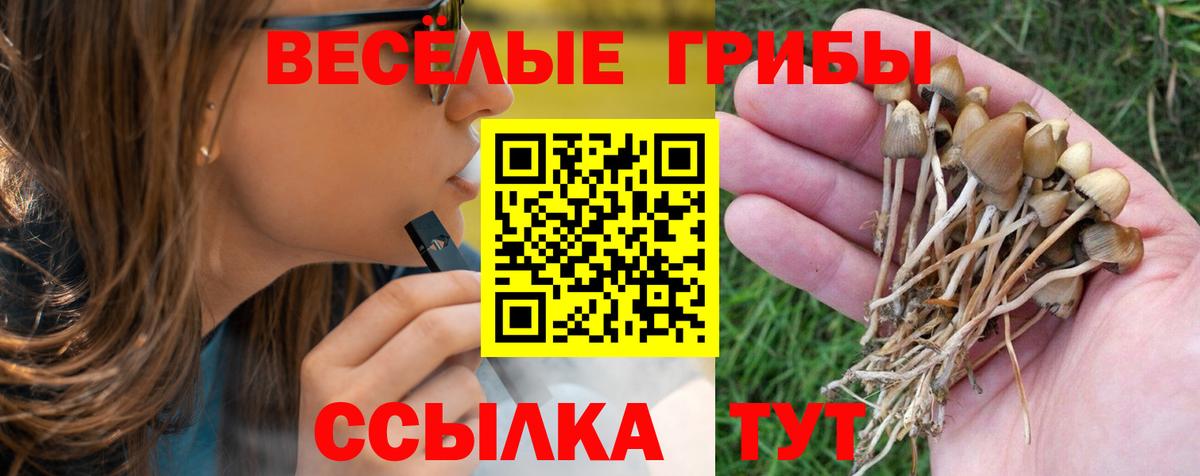 Псилоцибиновые грибы мицелий  Вход с VPN  Псилоцибиновые грибы прущие грибы  закладка  Петровск 
