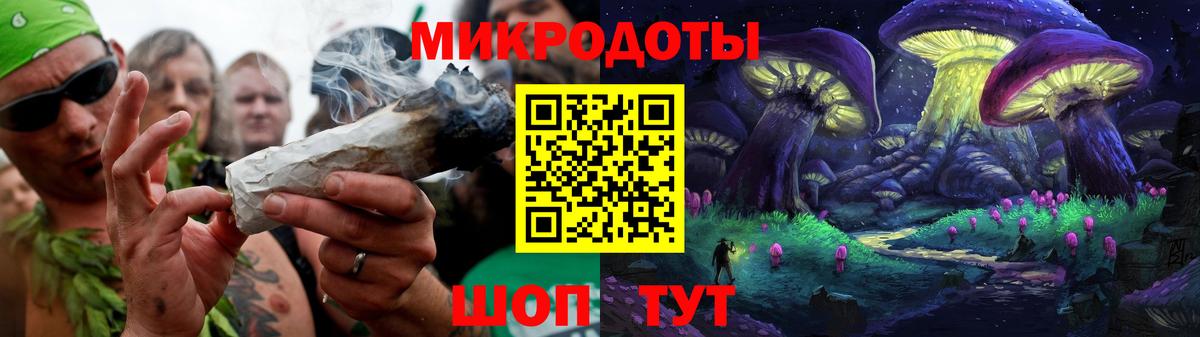 Псилоцибиновые грибы Psilocybine cubensis Петровск